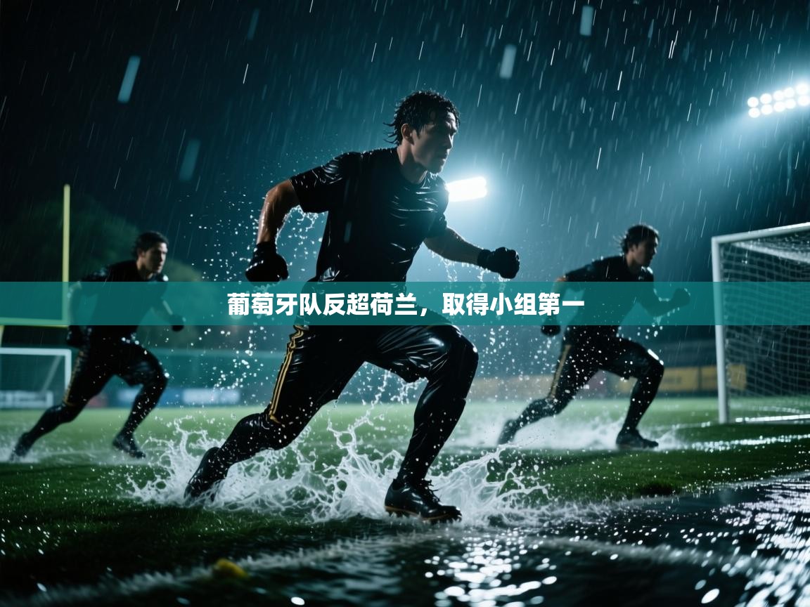 葡萄牙队反超荷兰，取得小组第一  第1张
