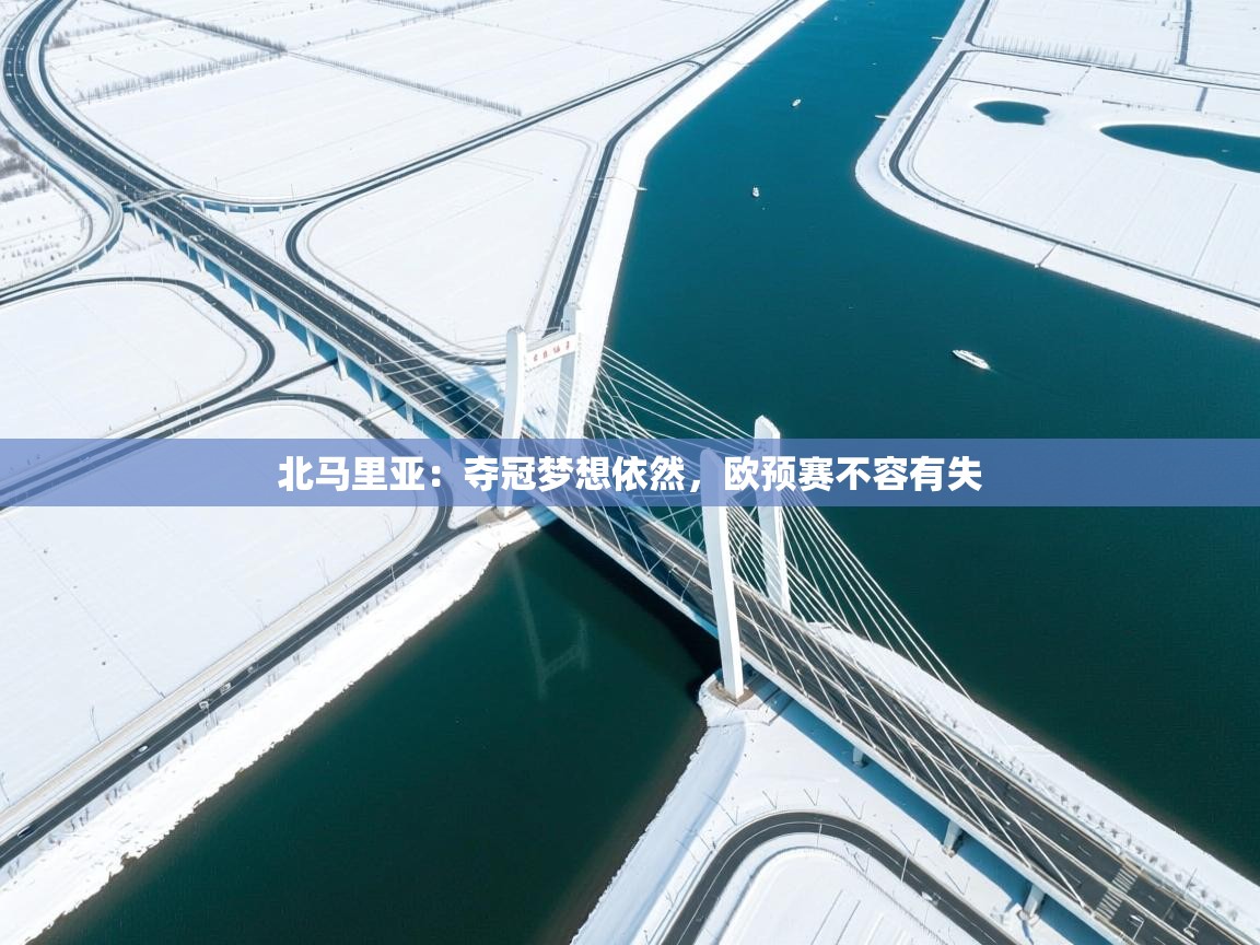 北马里亚：夺冠梦想依然，欧预赛不容有失  第1张