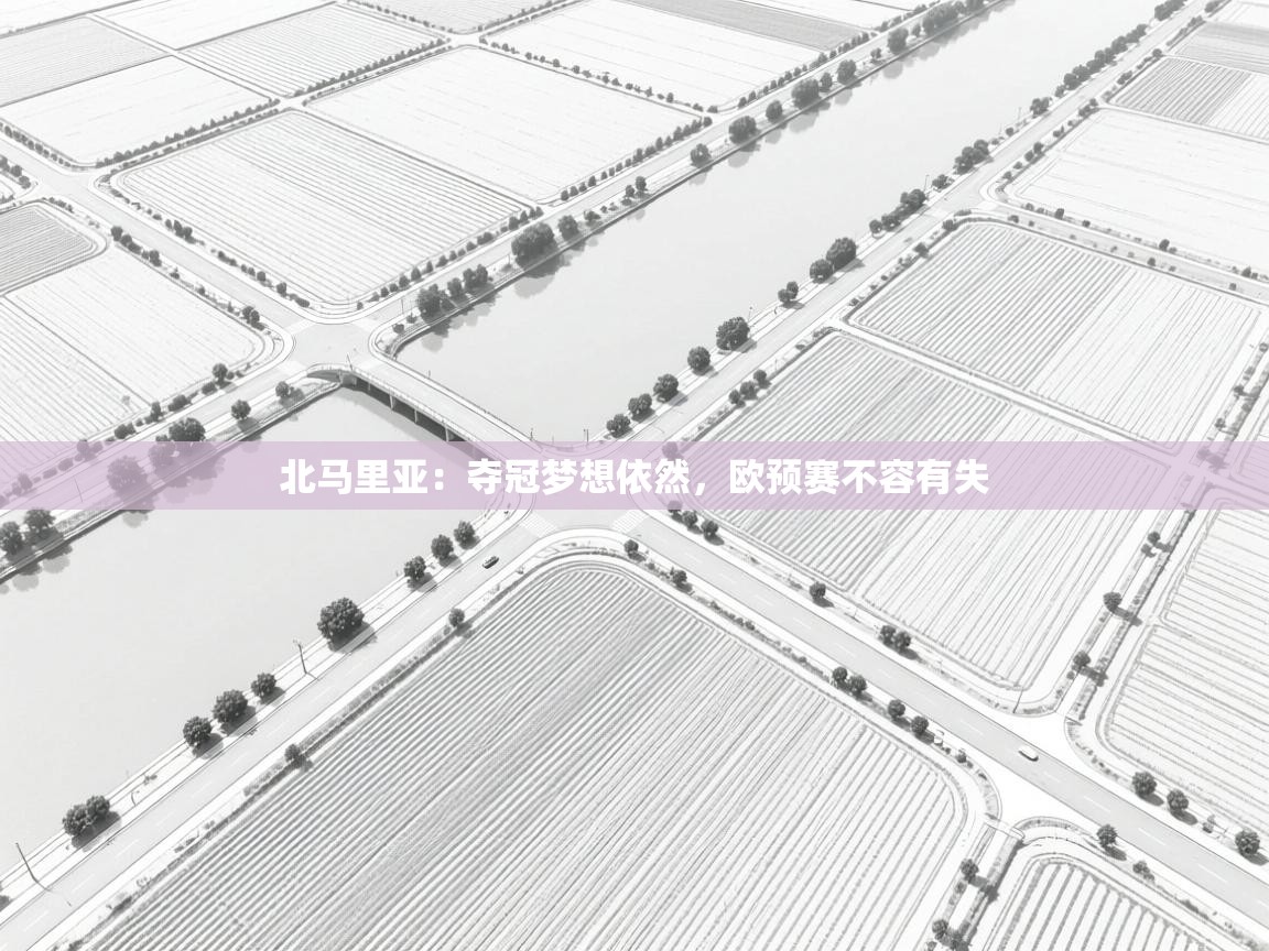 北马里亚：夺冠梦想依然，欧预赛不容有失  第2张