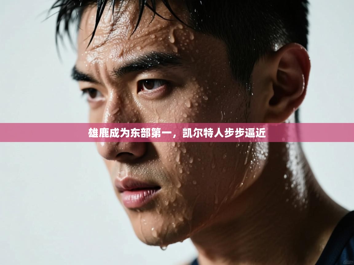 雄鹿成为东部第一,凯尔特人步步逼近 第2张