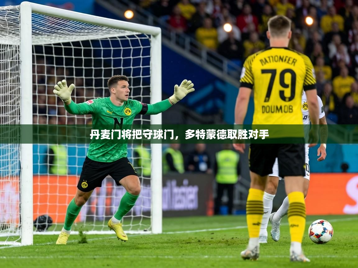 丹麦门将把守球门，多特蒙德取胜对手  第1张